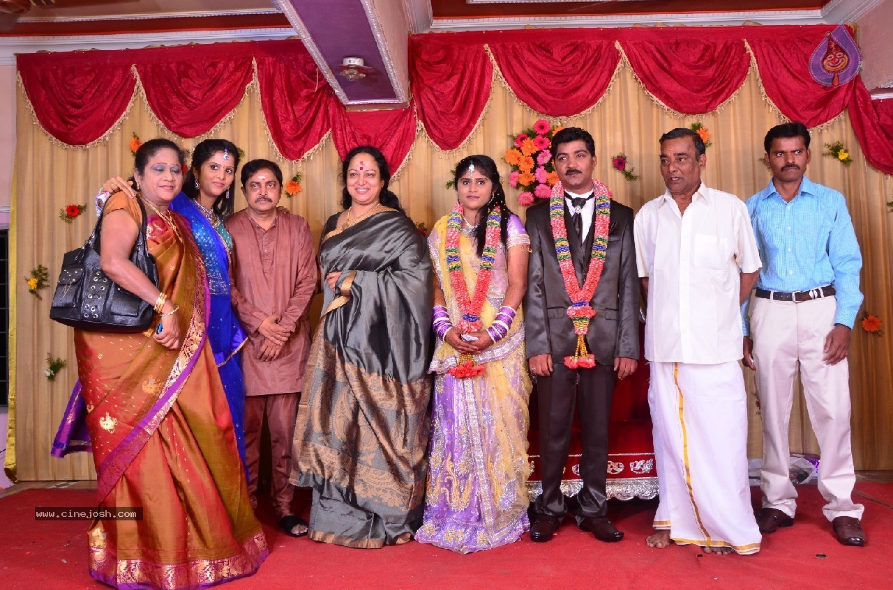 VP Mani Daughter Gayathiri Wedding Photos - 11 / 32 photos