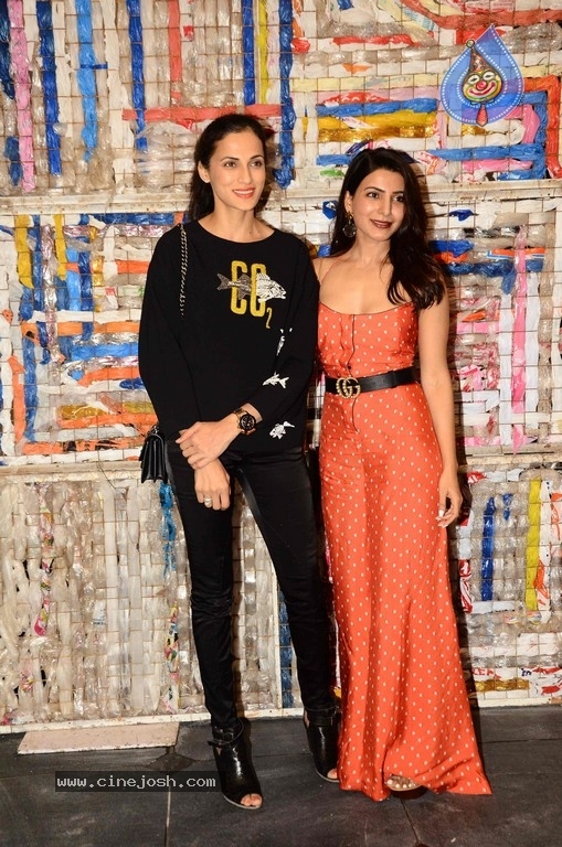 Wildest Dreams A Fundraiser Gala Exhibition of Paintings - 17 / 62 photos