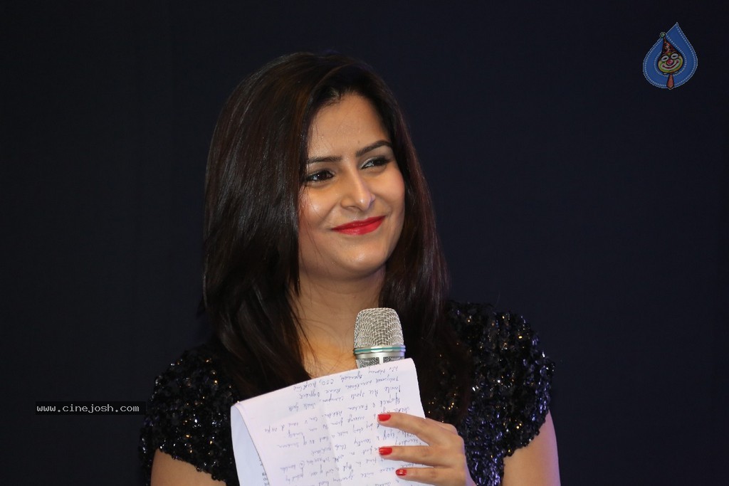 Windsong Festival Curtain Raiser Event - 7 / 89 photos