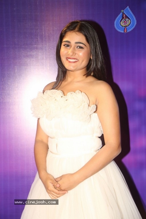 Zee Telugu Apsara Awards 2018 - 98 / 106 photos