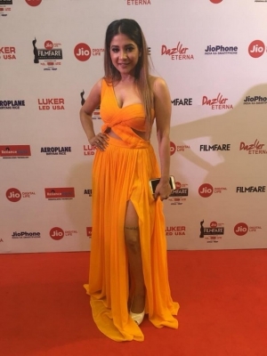 65th Jio Filmfare Awards South - 12 of 12