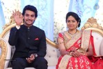 Aadi and Aruna Wedding Reception 01 - 3 of 119