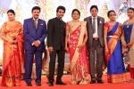 Aadi and Aruna Wedding Reception 01 - 14 of 119