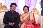Aadi and Aruna Wedding Reception 01 - 19 of 119