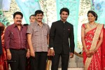 Aadi and Aruna Wedding Reception 03 - 2 of 235