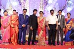 Aadi and Aruna Wedding Reception 03 - 6 of 235