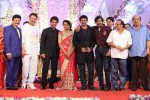 Aadi and Aruna Wedding Reception 03 - 30 of 235