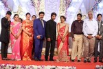 Aadi and Aruna Wedding Reception 03 - 63 of 235