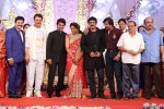 Aadi and Aruna Wedding Reception 03 - 117 of 235