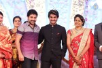 Aadi and Aruna Wedding Reception 03 - 176 of 235