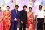 Aadi and Aruna Wedding Reception 03 - 183 of 235