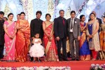 Aadi and Aruna Wedding Reception 03 - 209 of 235