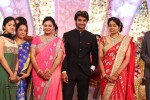 Aadi and Aruna Wedding Reception 03 - 223 of 235