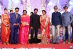Aadi and Aruna Wedding Reception 04 - 38 of 49