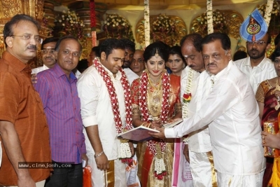 Abinesh Elangovan and Nandhini Wedding Reception - 12 of 42
