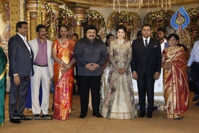 Abinesh Elangovan and Nandhini Wedding Reception - 13 of 42