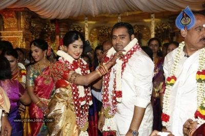 Abinesh Elangovan and Nandhini Wedding Reception - 20 of 42
