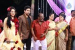 Actor Harish and Abinaya Wedding Reception - 12 of 35