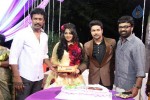 Actor Harish and Abinaya Wedding Reception - 35 of 35