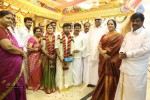 Actor Pandiarajan Son Wedding Photos - 4 of 73