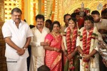 Actor Pandiarajan Son Wedding Photos - 16 of 73