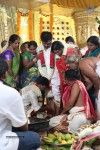 Actor Pandiarajan Son Wedding Photos - 20 of 73