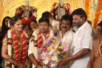 Actor Pandiarajan Son Wedding Photos - 24 of 73