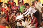 Actor Pandiarajan Son Wedding Photos - 28 of 73