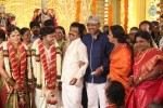 Actor Pandiarajan Son Wedding Photos - 34 of 73