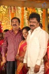 Actor Pandiarajan Son Wedding Photos - 37 of 73