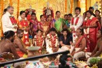 Actor Pandiarajan Son Wedding Photos - 39 of 73
