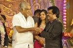 Actor Pandiarajan Son Wedding Reception - 2 of 102