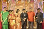 Actor Pandiarajan Son Wedding Reception - 20 of 102