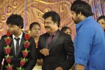 Actor Pandiarajan Son Wedding Reception - 32 of 102