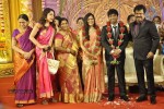 Actor Pandiarajan Son Wedding Reception - 35 of 102