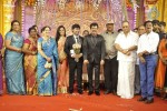 Actor Pandiarajan Son Wedding Reception - 41 of 102
