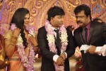 Actor Pandiarajan Son Wedding Reception - 42 of 102