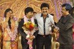 Actor Pandiarajan Son Wedding Reception - 54 of 102