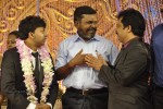 Actor Pandiarajan Son Wedding Reception - 81 of 102