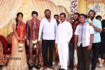 Actor Viddarth and Gayathri Devi Wedding Reception - 32 of 54