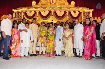 Adiseshagiri Rao Son Wedding Photos 2 - 58 of 128