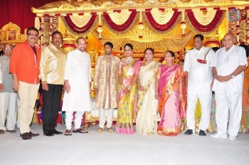 Adiseshagiri Rao Son Wedding Photos 2 - 92 of 128