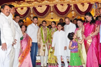 Adiseshagiri Rao Son Wedding Photos 2 - 109 of 128