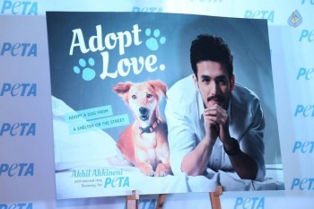 Akhil at PETA Event - 15 of 37