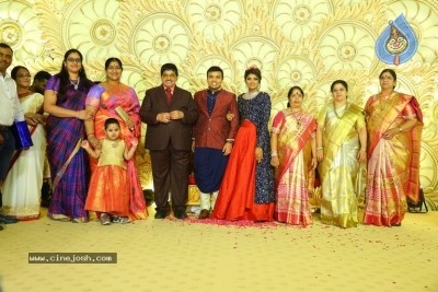 Ambica Krishna Grandson Wedding Reception Photos - 29 of 30