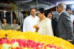 ANR Condolences Photos 08 - 178 of 190
