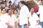 ANR Cremation Photos 01  - 51 of 493