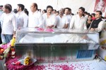 ANR Final Journey Photos - 251 of 391