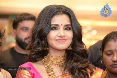 Anutex Shopping Mall Grand Festival Collection Launch - 9 of 21