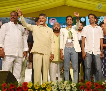 AP CM Felicitates PV Sindhu Photos - 13 of 17